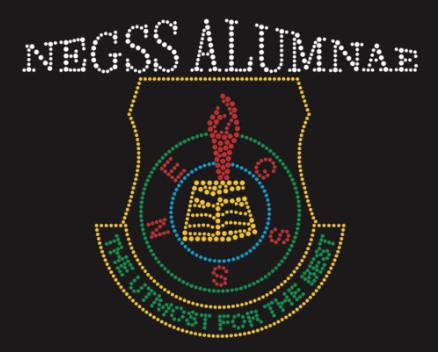 New Era Girls Secondary School logo